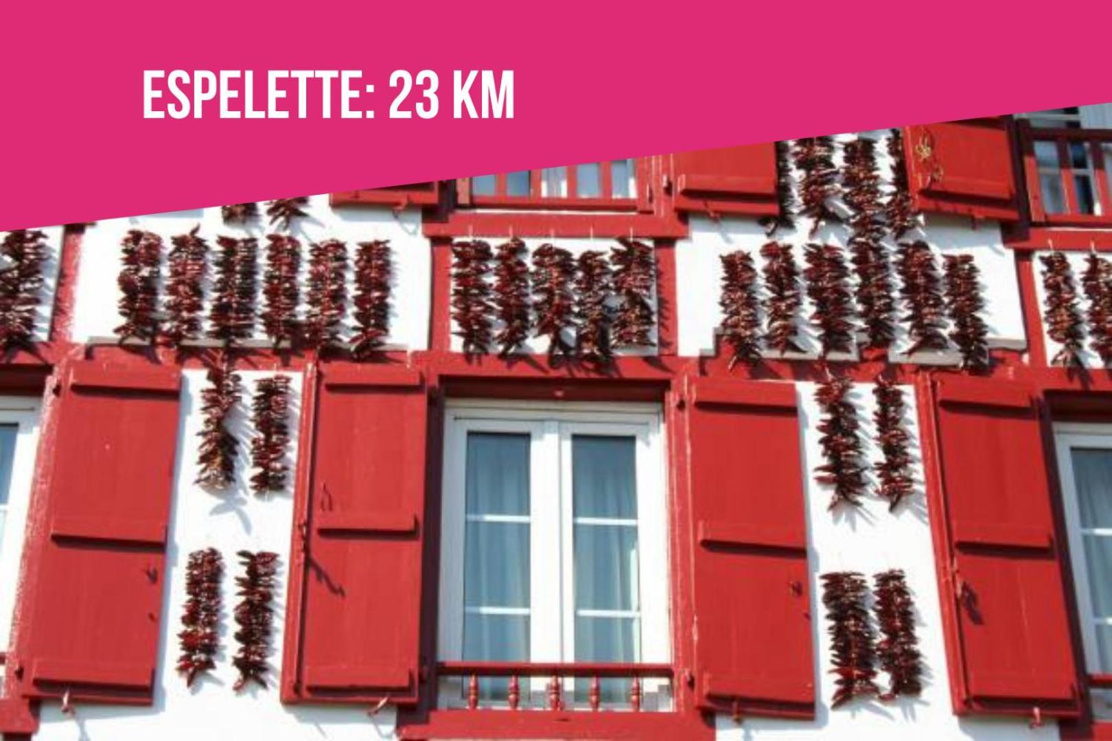 Ilbetea - Ideal Couple - Duplex Tout Confort - Plage A 400 M - Parking Saint-Jean-de-Luz Buitenkant foto